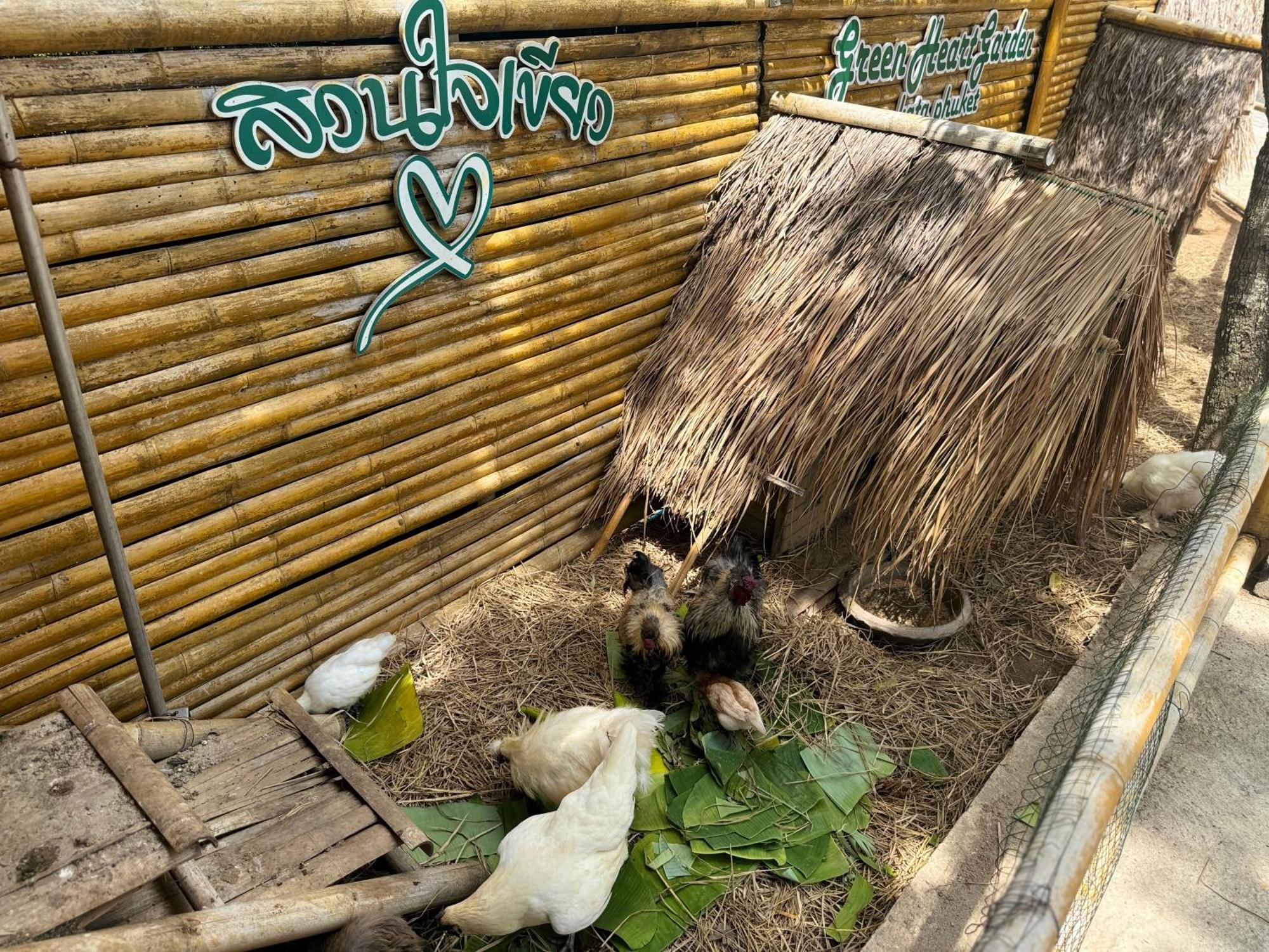 Greenheart Garden View Camp Phuket Kata Beach  Exterior photo